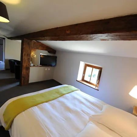 Logis Chateau De 4* Palaja
