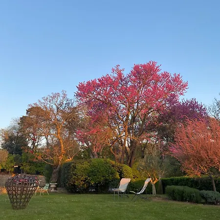 Logis Chateau De Hotell 4*