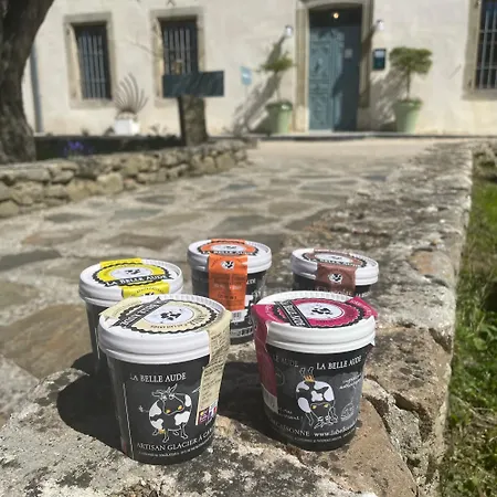 Logis Chateau De Palaja