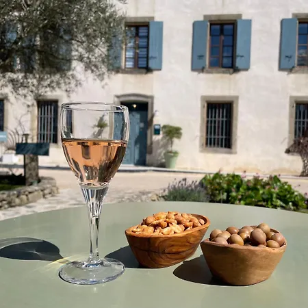 Logis Chateau De 4* Palaja