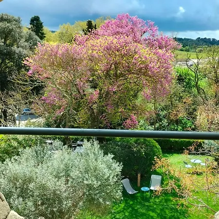 Logis Chateau De 4* Palaja