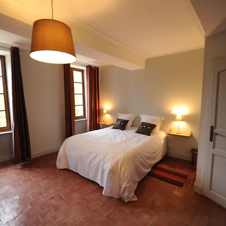 Logis Chateau De Hotell Palaja