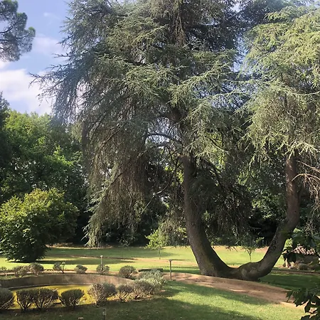 Logis Chateau De فندق بالاجا